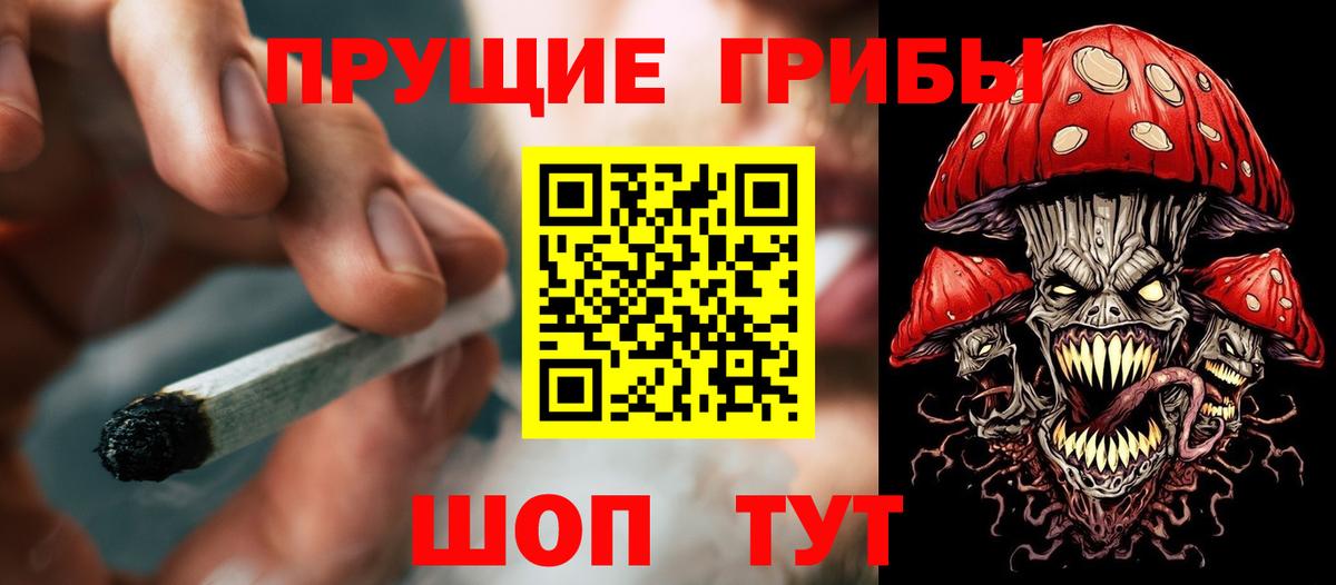 Десногорск  Псилоцибиновые грибы MAGIC MUSHROOMS  цена   Вход с VPN 